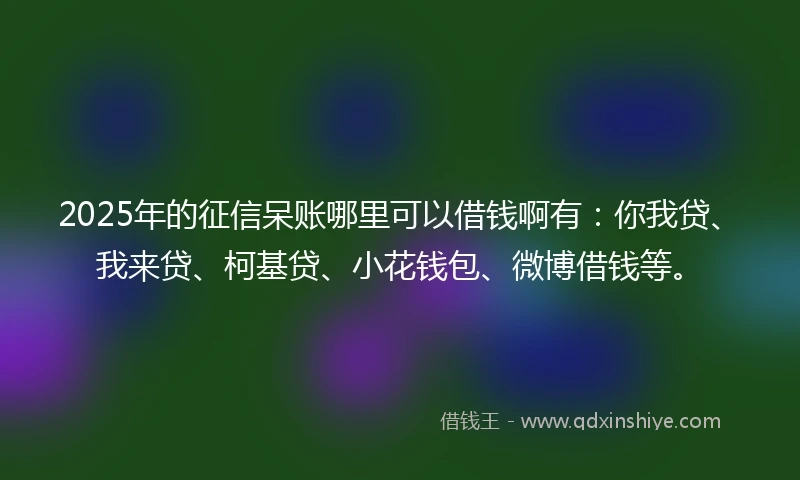 2025年的征信呆账哪里可以借钱啊有：你我贷、我来贷、柯基贷、小花钱包、微博借钱等。