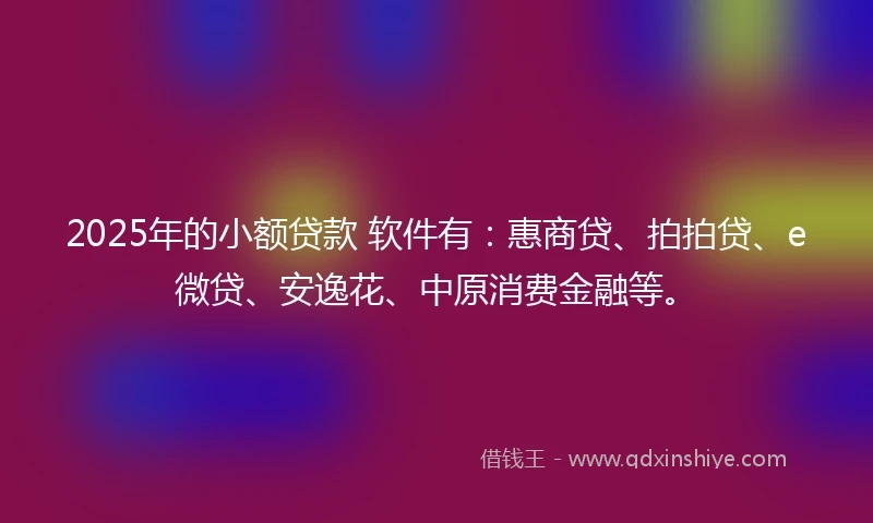 2025年的小额贷款 软件有：惠商贷、拍拍贷、e微贷、安逸花、中原消费金融等。