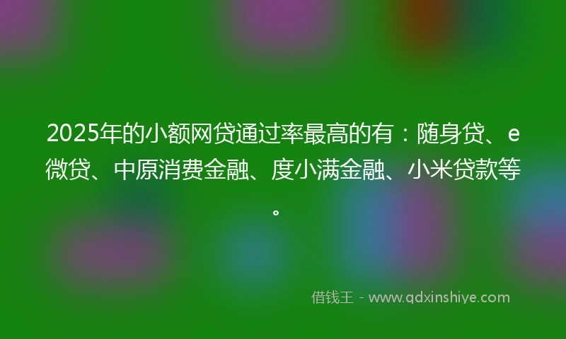 2025年的小额网贷通过率最高的有：随身贷、e微贷、中原消费金融、度小满金融、小米贷款等。