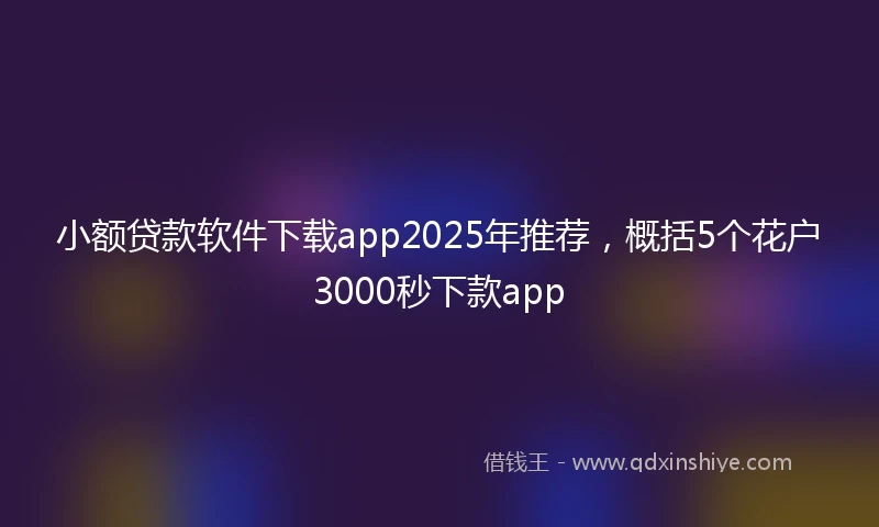小额贷款软件下载app2025年推荐，概括5个花户3000秒下款app