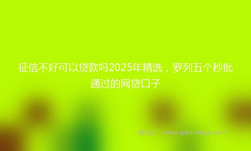 征信不好可以贷款吗2025年精选，罗列五个秒批通过的网贷口子