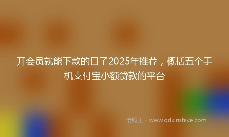 开会员就能下款的口子2025年推荐，概括五个手机支付宝小额贷款的平台