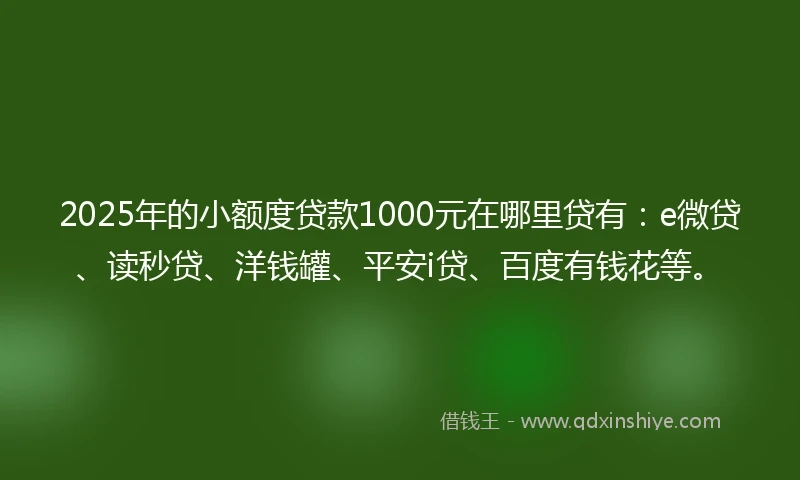 2025年的小额度贷款1000元在哪里贷有：e微贷、读秒贷、洋钱罐、平安i贷、百度有钱花等。