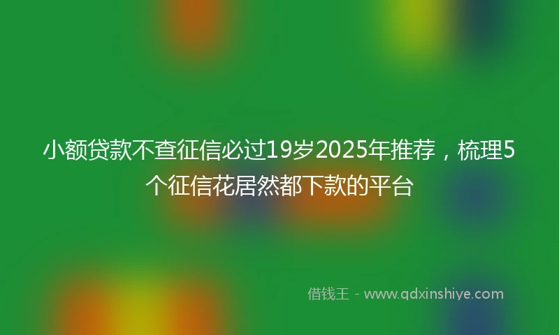 小额贷款不查征信必过19岁2025年推荐，梳理5个征信花居然都下款的平台