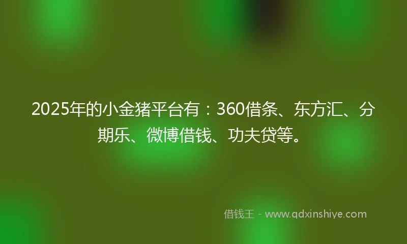 2025年的小金猪平台有：360借条、东方汇、分期乐、微博借钱、功夫贷等。