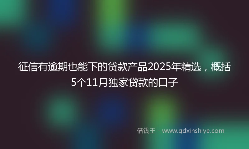 征信有逾期也能下的贷款产品2025年精选，概括5个11月独家贷款的口子
