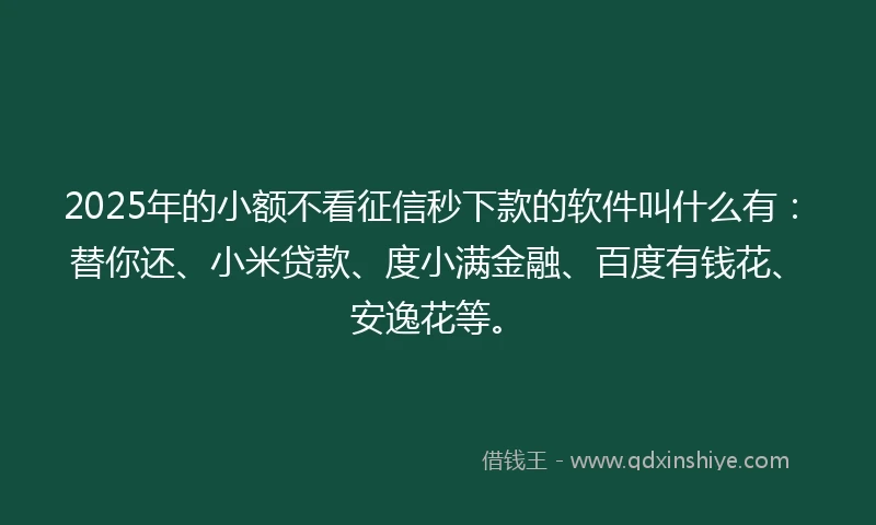 2025年的小额不看征信秒下款的软件叫什么有：替你还、小米贷款、度小满金融、百度有钱花、安逸花等。