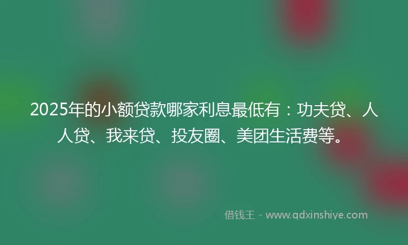 2025年的小额贷款哪家利息最低有：功夫贷、人人贷、我来贷、投友圈、美团生活费等。