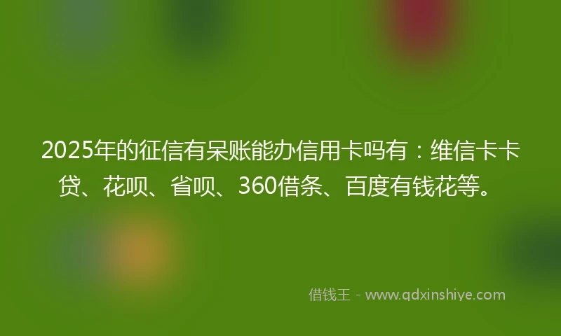 2025年的征信有呆账能办信用卡吗有：维信卡卡贷、花呗、省呗、360借条、百度有钱花等。