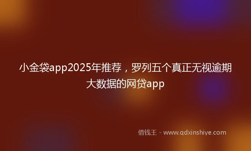 小金袋app2025年推荐，罗列五个真正无视逾期大数据的网贷app
