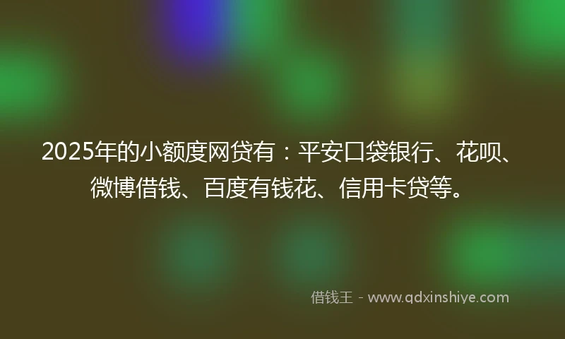 2025年的小额度网贷有：平安口袋银行、花呗、微博借钱、百度有钱花、信用卡贷等。