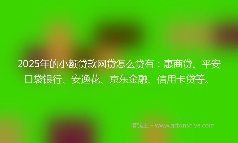 2025年的小额贷款网贷怎么贷有：惠商贷、平安口袋银行、安逸花、京东金融、信用卡贷等。