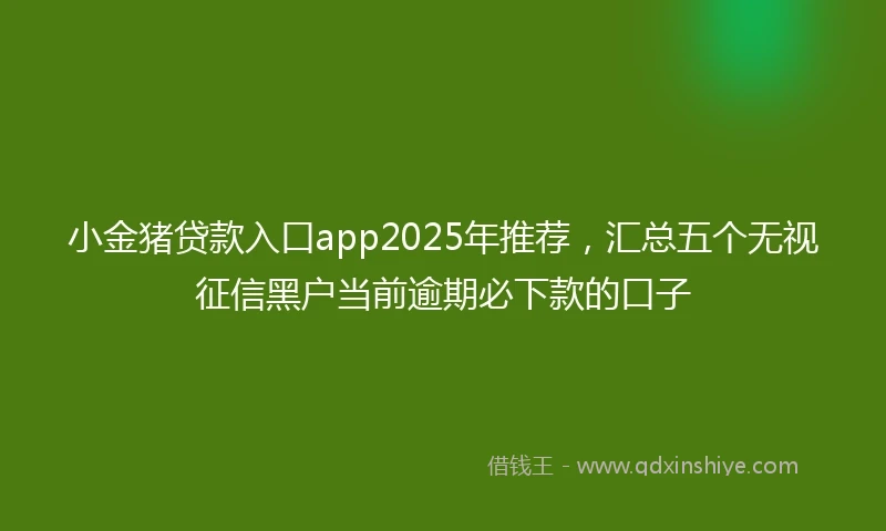 小金猪贷款入口app2025年推荐，汇总五个无视征信黑户当前逾期必下款的口子