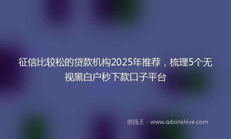 征信比较松的贷款机构2025年推荐，梳理5个无视黑白户秒下款口子平台