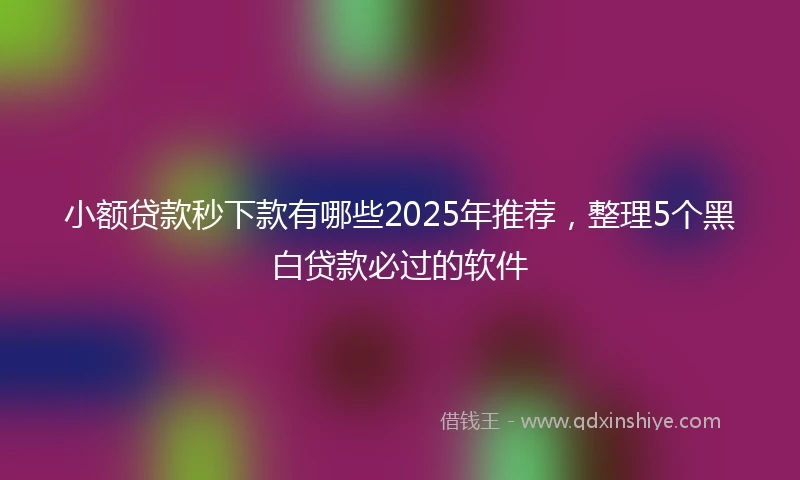 小额贷款秒下款有哪些2025年推荐，整理5个黑白贷款必过的软件