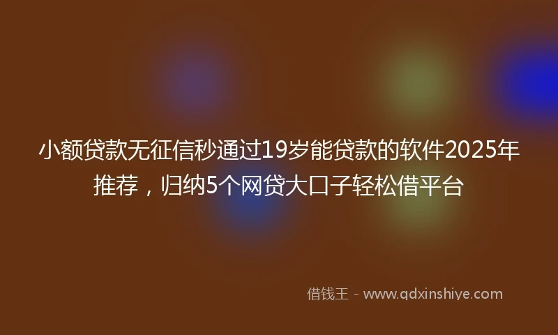 小额贷款无征信秒通过19岁能贷款的软件2025年推荐,归纳5个网贷大口子轻松借平台