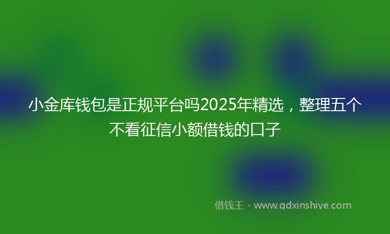 小金库钱包是正规平台吗2025年精选，整理五个不看征信小额借钱的口子