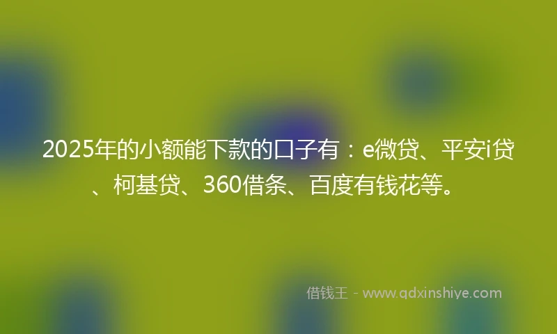 2025年的小额能下款的口子有：e微贷、平安i贷、柯基贷、360借条、百度有钱花等。