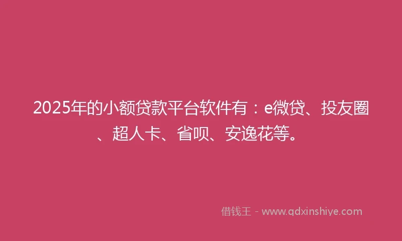 2025年的小额贷款平台软件有：e微贷、投友圈、超人卡、省呗、安逸花等。