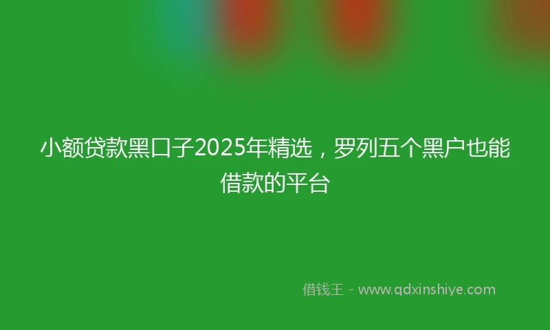 小额贷款黑口子2025年精选，罗列五个黑户也能借款的平台