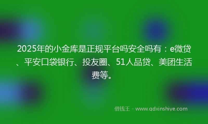 2025年的小金库是正规平台吗安全吗有：e微贷、平安口袋银行、投友圈、51人品贷、美团生活费等。