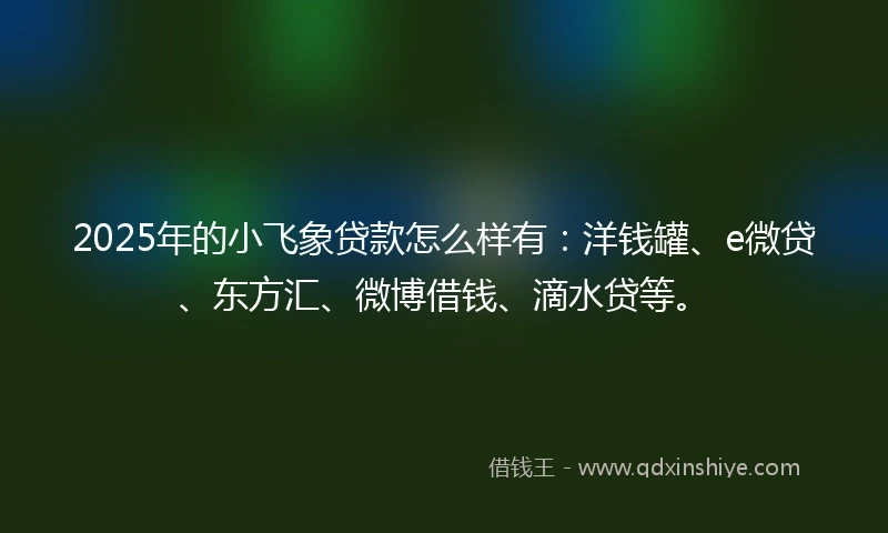 2025年的小飞象贷款怎么样有：洋钱罐、e微贷、东方汇、微博借钱、滴水贷等。