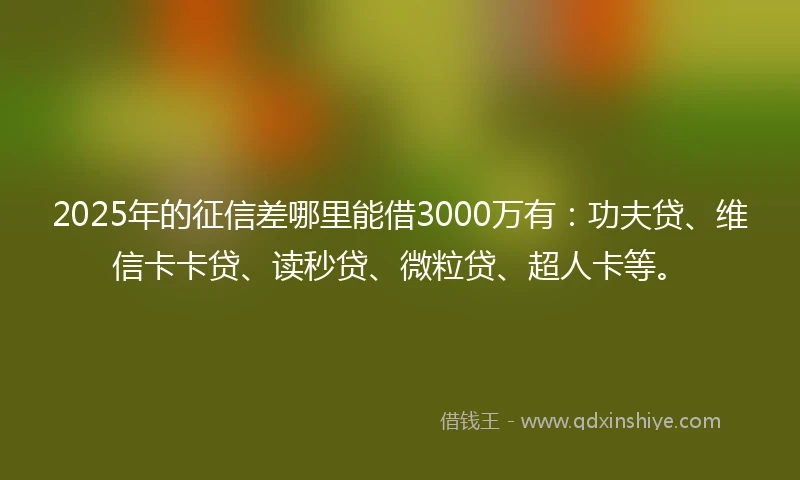 2025年的征信差哪里能借3000万有：功夫贷、维信卡卡贷、读秒贷、微粒贷、超人卡等。