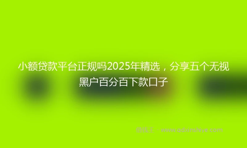 小额贷款平台正规吗2025年精选，分享五个无视黑户百分百下款口子