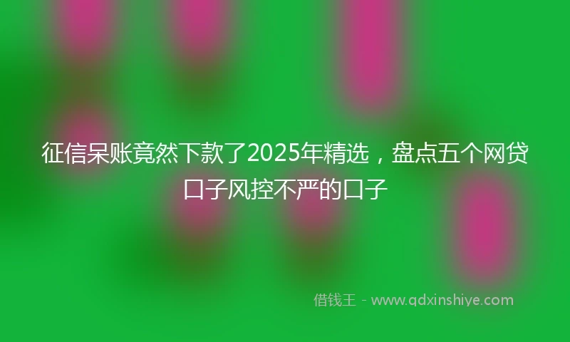 征信呆账竟然下款了2025年精选，盘点五个网贷口子风控不严的口子