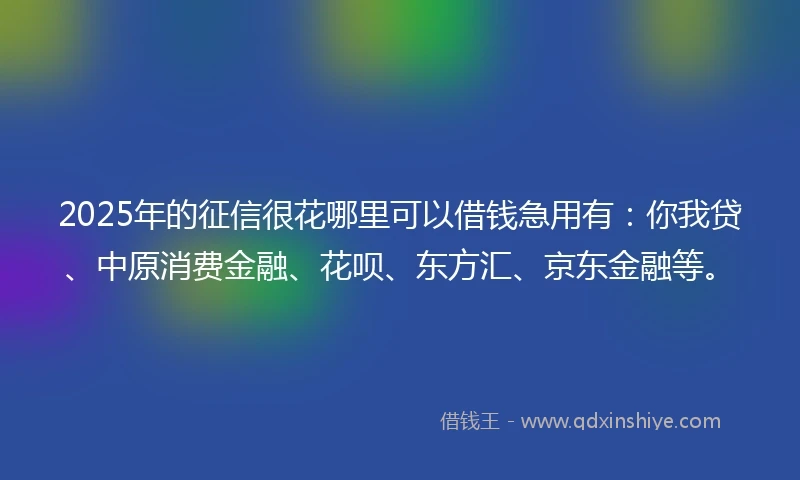 2025年的征信很花哪里可以借钱急用有：你我贷、中原消费金融、花呗、东方汇、京东金融等。