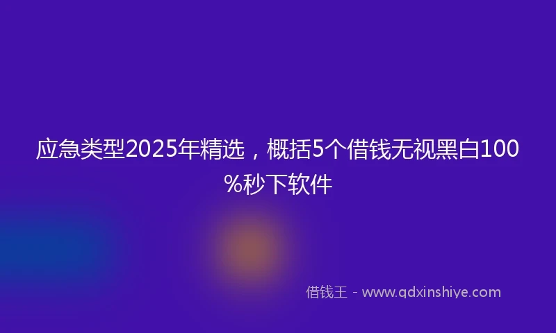 应急类型2025年精选，概括5个借钱无视黑白100%秒下软件