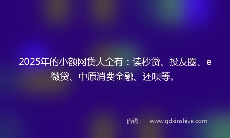 2025年的小额网贷大全有：读秒贷、投友圈、e微贷、中原消费金融、还呗等。