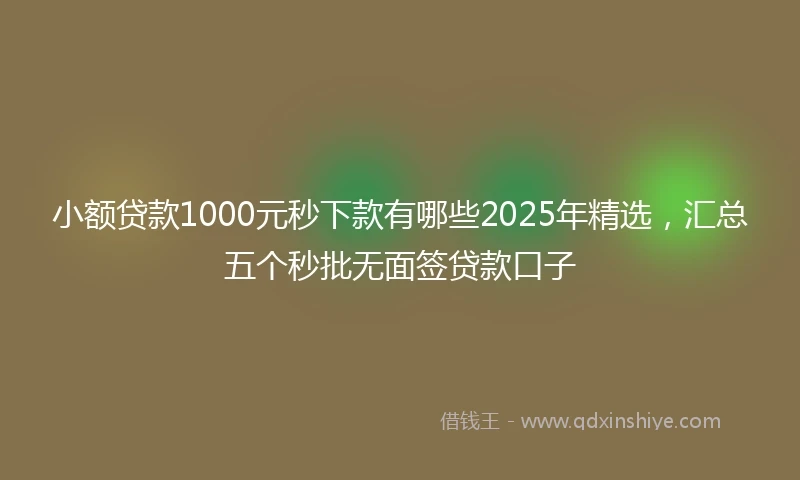 小额贷款1000元秒下款有哪些2025年精选，汇总五个秒批无面签贷款口子