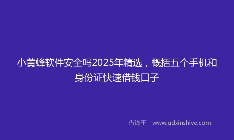 小黄蜂软件安全吗2025年精选，概括五个手机和身份证快速借钱口子