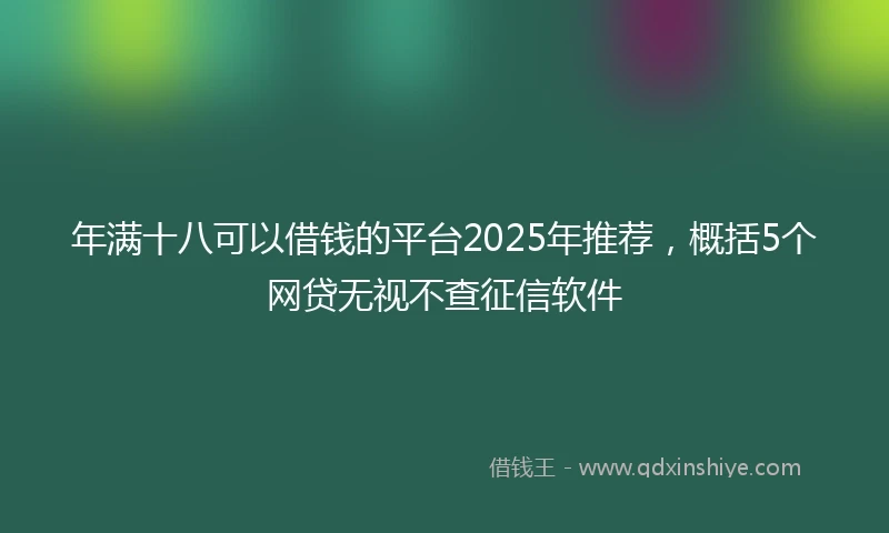 年满十八可以借钱的平台2025年推荐，概括5个网贷无视不查征信软件