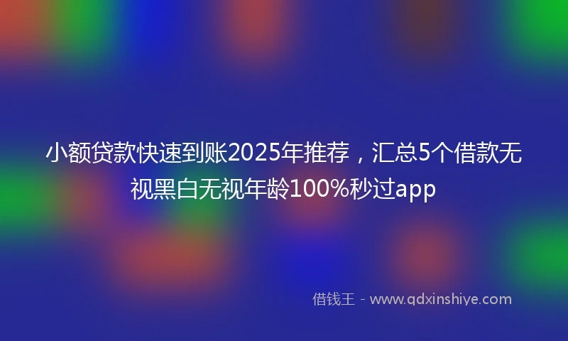 小额贷款快速到账2025年推荐，汇总5个借款无视黑白无视年龄100%秒过app
