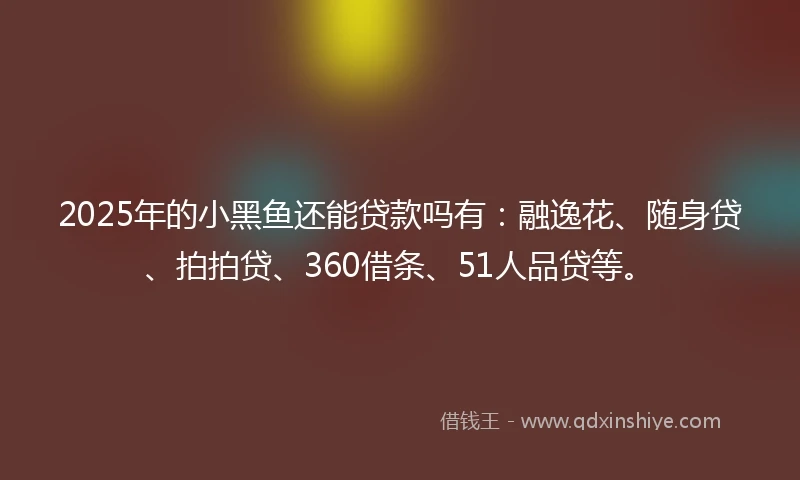 2025年的小黑鱼还能贷款吗有：融逸花、随身贷、拍拍贷、360借条、51人品贷等。