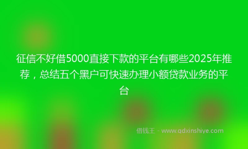 征信不好借5000直接下款的平台有哪些2025年推荐,总结五个黑户可快速办理小额贷款业务的平台