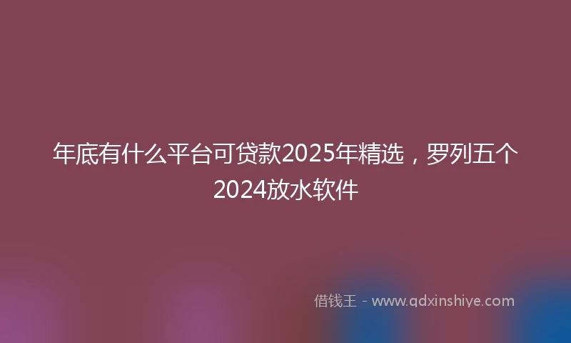 年底有什么平台可贷款2025年精选，罗列五个2024放水软件