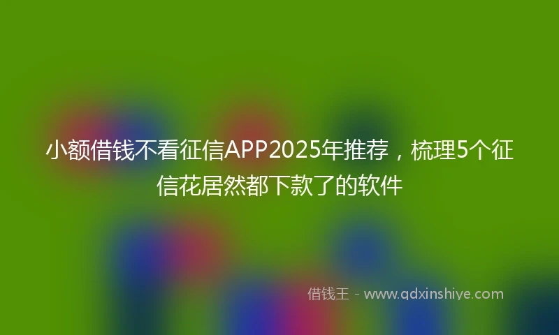 小额借钱不看征信APP2025年推荐，梳理5个征信花居然都下款了的软件
