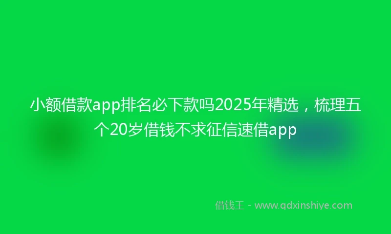 小额借款app排名必下款吗2025年精选，梳理五个20岁借钱不求征信速借app