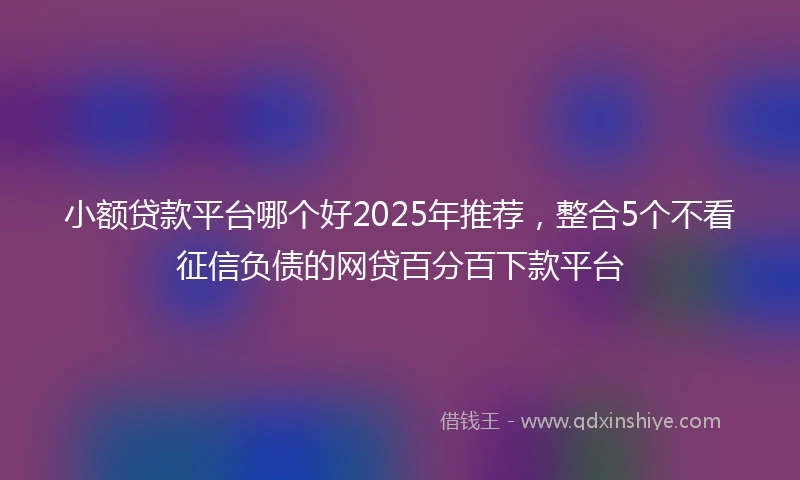 小额贷款平台哪个好2025年推荐，整合5个不看征信负债的网贷百分百下款平台