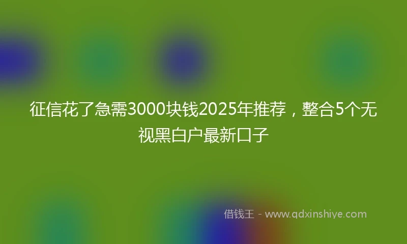 征信花了急需3000块钱2025年推荐，整合5个无视黑白户最新口子