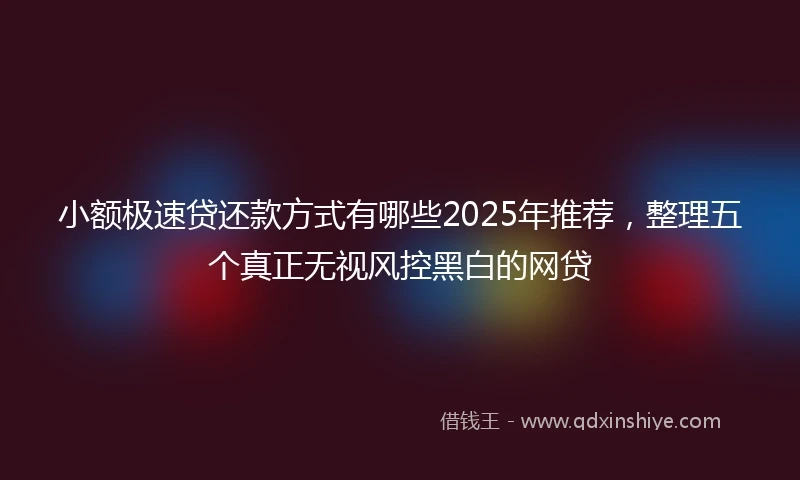 小额极速贷还款方式有哪些2025年推荐，整理五个真正无视风控黑白的网贷