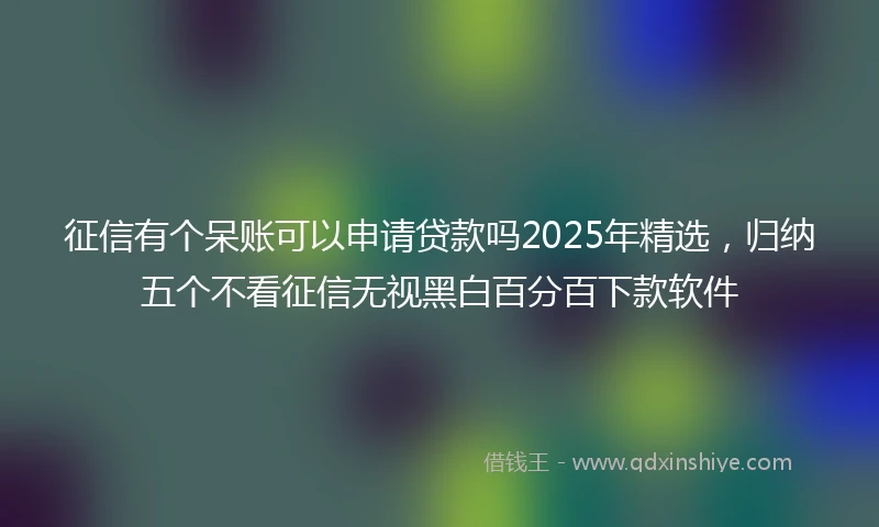 征信有个呆账可以申请贷款吗2025年精选,归纳五个不看征信无视黑白百分百下款软件