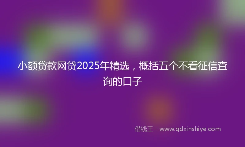 小额贷款网贷2025年精选，概括五个不看征信查询的口子