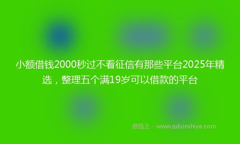 小额借钱2000秒过不看征信有那些平台2025年精选，整理五个满19岁可以借款的平台