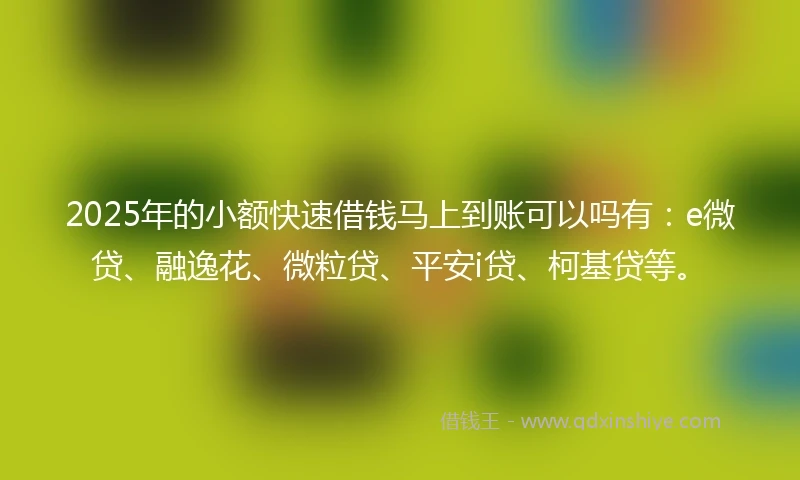 2025年的小额快速借钱马上到账可以吗有：e微贷、融逸花、微粒贷、平安i贷、柯基贷等。