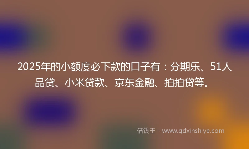 2025年的小额度必下款的口子有：分期乐、51人品贷、小米贷款、京东金融、拍拍贷等。