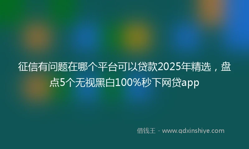 征信有问题在哪个平台可以贷款2025年精选，盘点5个无视黑白100%秒下网贷app